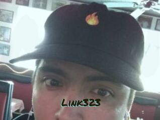 Link323