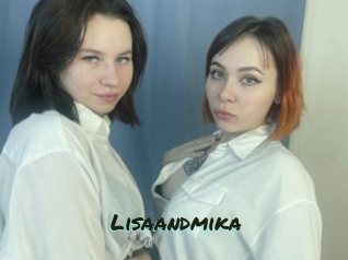 Lisaandmika