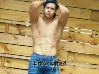 Litocastro