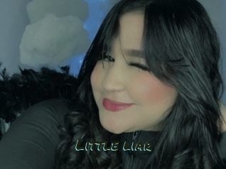 Little_liar