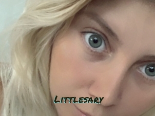 Littlesary