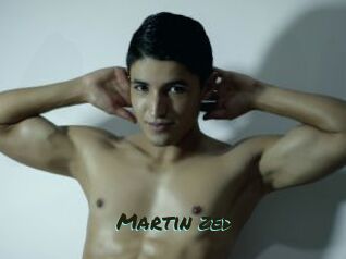 Martin_zed