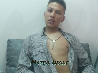 Mateo_Wolf