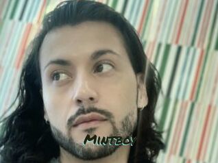 Mintboy