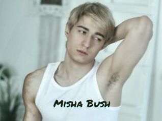 Misha_Bush