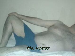 Mr_Hobbs