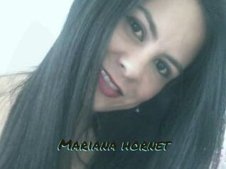 Mariana_hornet
