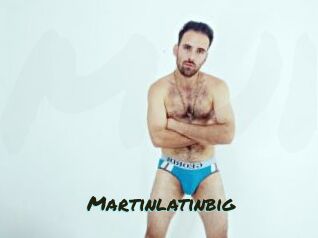 Martinlatinbig