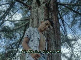 Mathew_brooks