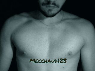 Mecchaud123