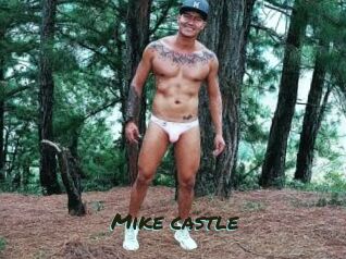 Mike_castle