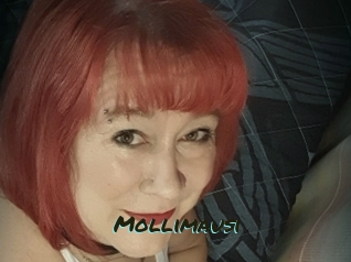 Mollimausi