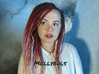 Mollybuls