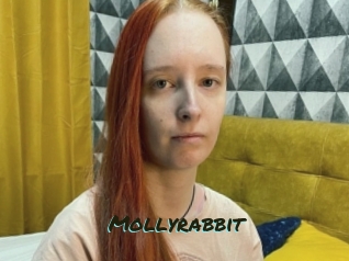 Mollyrabbit