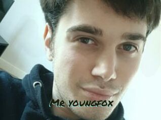 Mr_youngfox