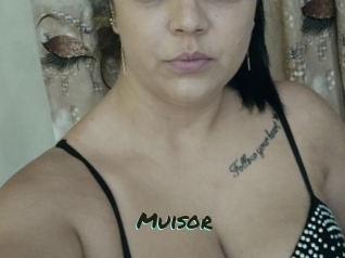 Muisor