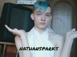 NATHAN_SPARKS