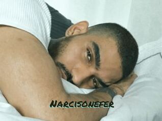 Narcisonefer