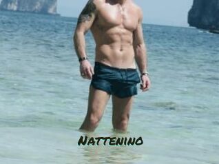 Nattenino