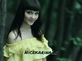 Nicekarina20