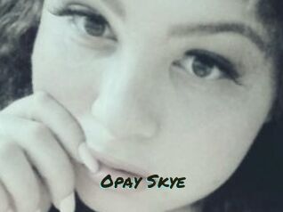 Opay_Skye