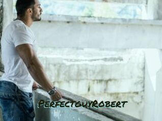 PerfectguyRobert