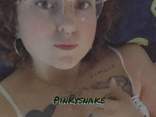 Pinkysnake