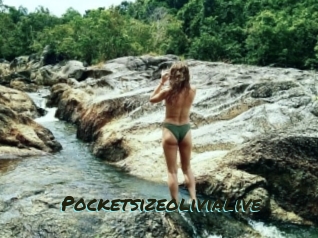 Pocketsizeolivialive