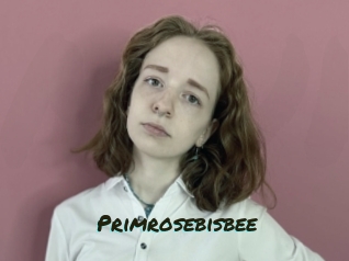 Primrosebisbee
