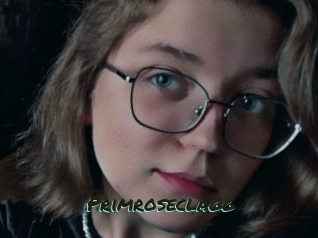 primroseclagg Muhyoo Adult