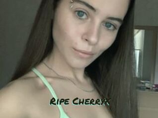 Ripe_CherryX Muhyoo Adult