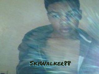SkyWalker88