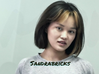 Sandrabricks