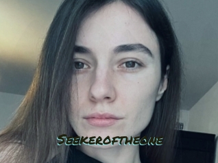 Seekeroftheone