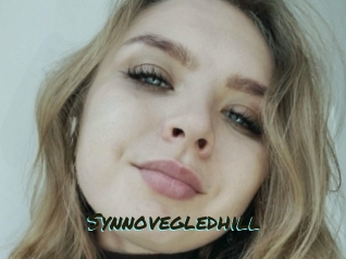 Synnovegledhill