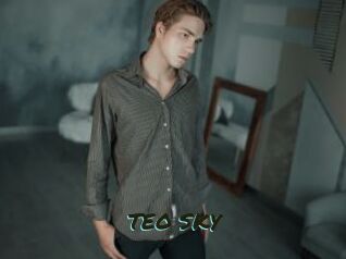 TEO_SKY