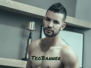 TeoBanner