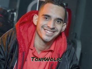 TonyWolfs