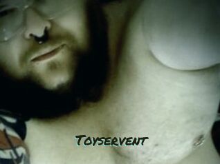 Toyservent