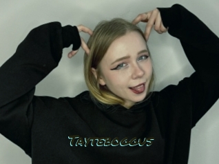 Tayteboggus