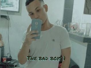 The_bad_boys_1