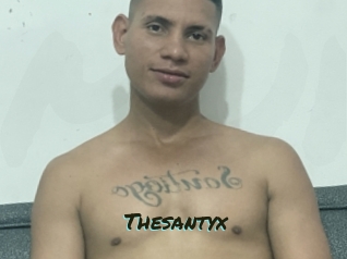 Thesantyx