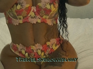 Thewelshbrownbunny