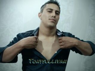 Tonysullivan
