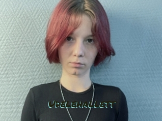 Udelehallett