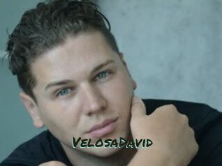 VelosaDavid