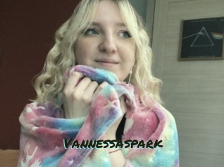 Vannessaspark