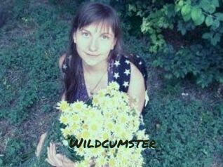 Wildcumster