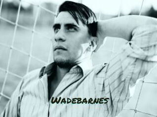 Wadebarnes