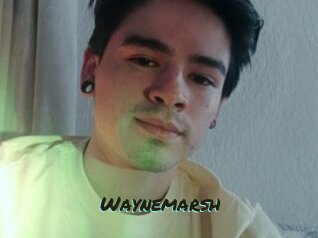 Waynemarsh